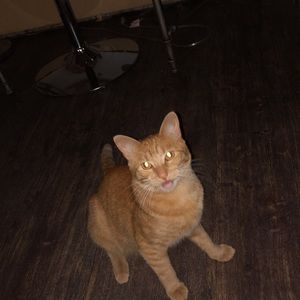 Meet your Posher, Micayla